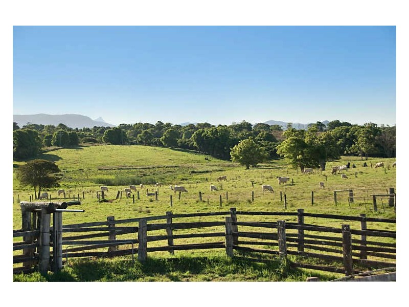 11 Ewingsdale Road, Byron Bay NSW 2481