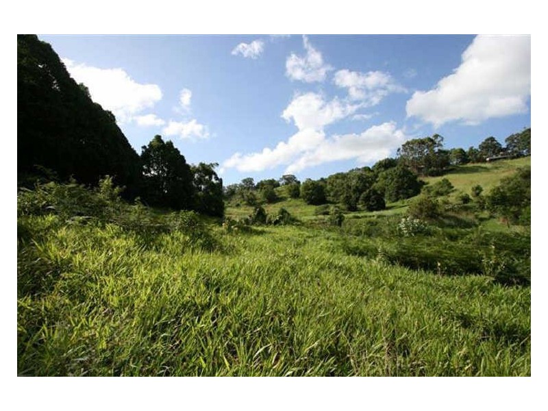 51 Fig Tree Lane, Byron Bay NSW 2481