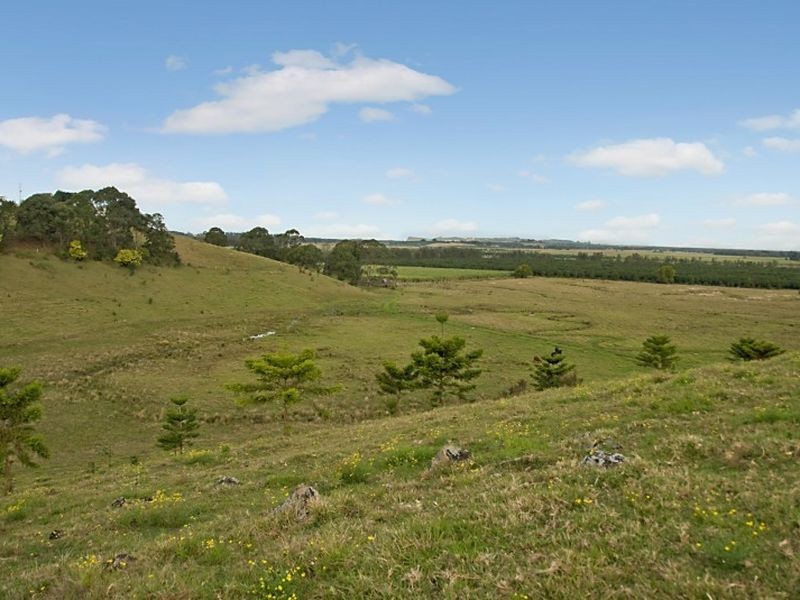 101 Phillips Road, Newrybar NSW 2479