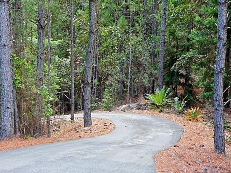 286 Skinner Shoot Road, Skinners Shoot NSW 2481