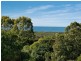 Lot 10 McInnes Lane, Tyagarah NSW 2481