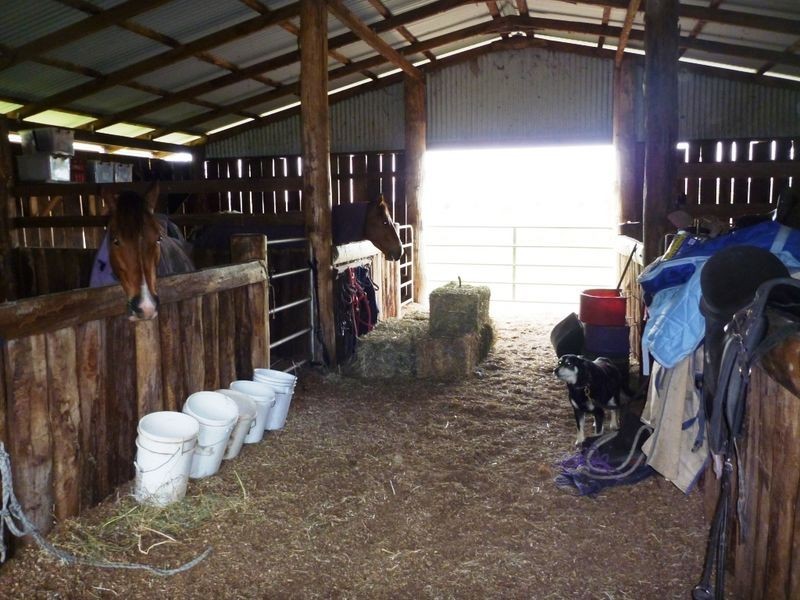 Lot 2 Pacific Highway, Byron Bay NSW 2481