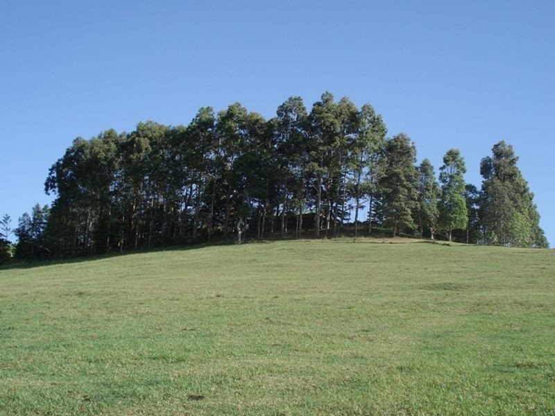 335 Federal Drive, Federal NSW 2480