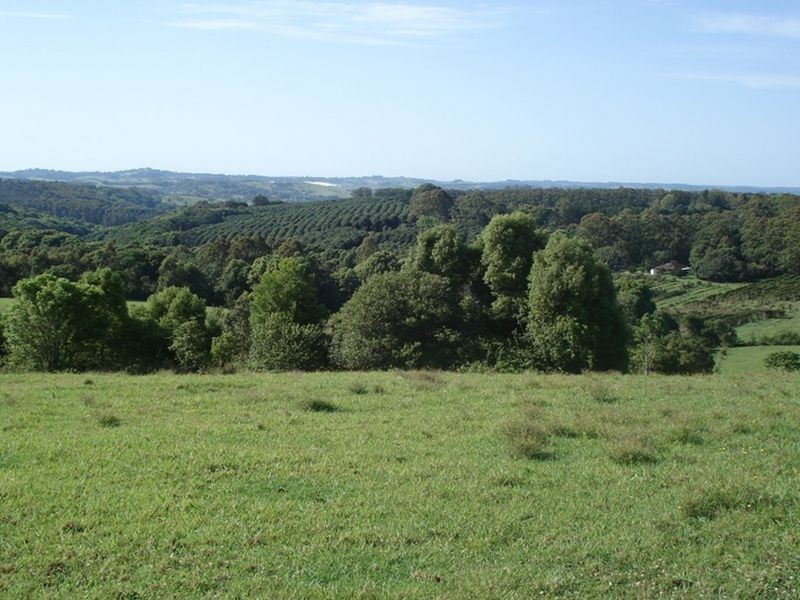 335 Federal Drive, Federal NSW 2480