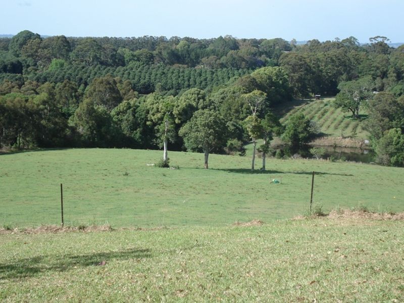 335 Federal Drive, Federal NSW 2480