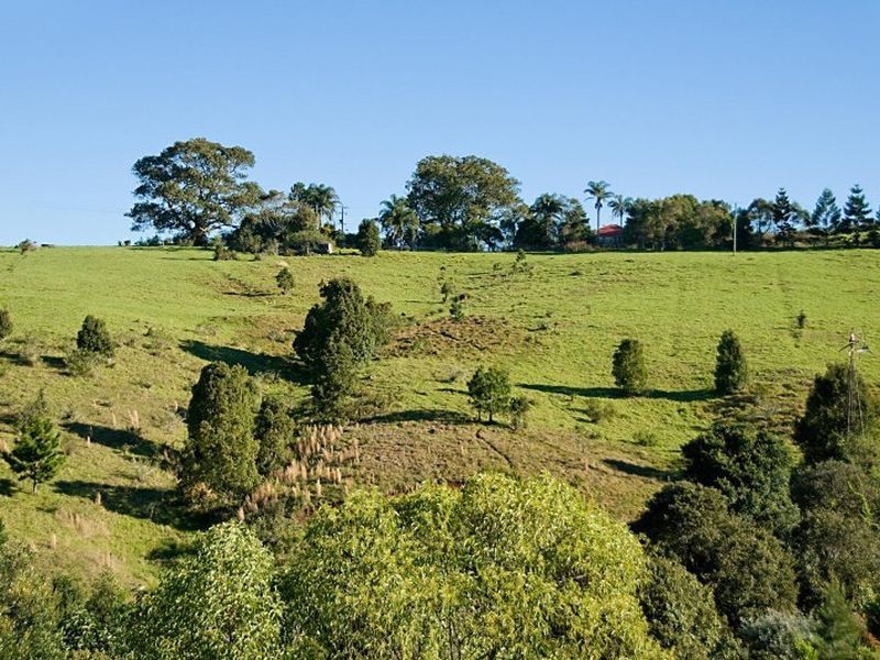 Lot 4 McLeods Shoot, Bangalow NSW 2479