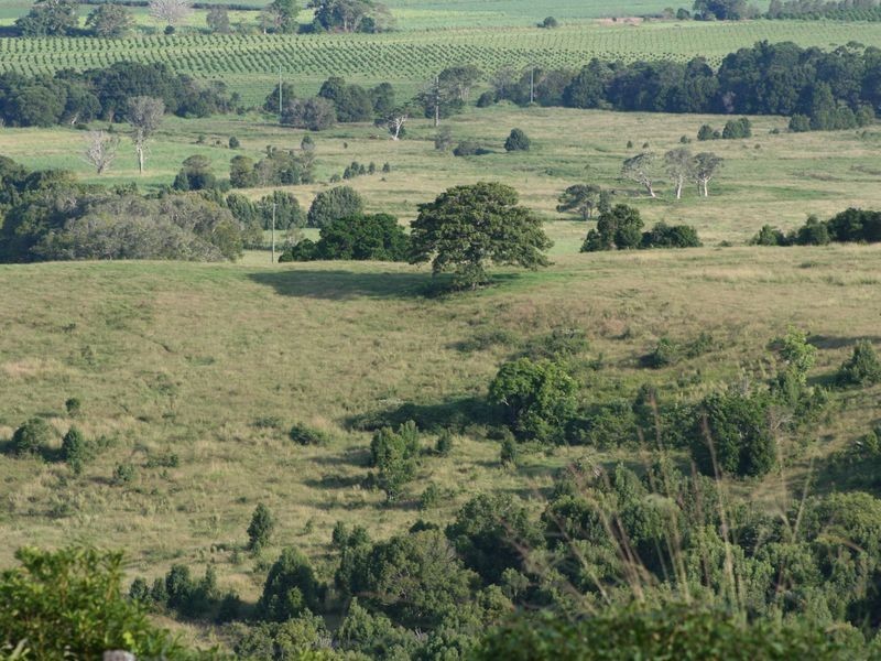 Lot 10 Midgen Flat Road, Broken Head NSW 2481