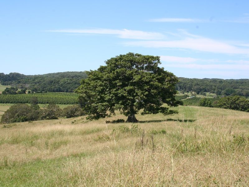 Lot 10 Midgen Flat Road, Broken Head NSW 2481
