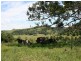 Lot 10 Midgen Flat Road, Broken Head NSW 2481