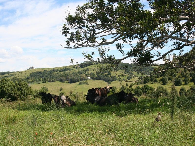 Lot 10 Midgen Flat Road, Broken Head NSW 2481