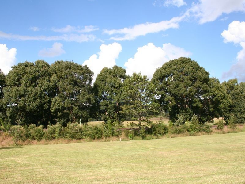 Lot 6 Green Frog Lane, Bangalow NSW 2479