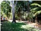 71 Massinger Street, Byron Bay NSW 2481