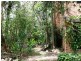 1/86 Bangalow Road, Byron Bay NSW 2481