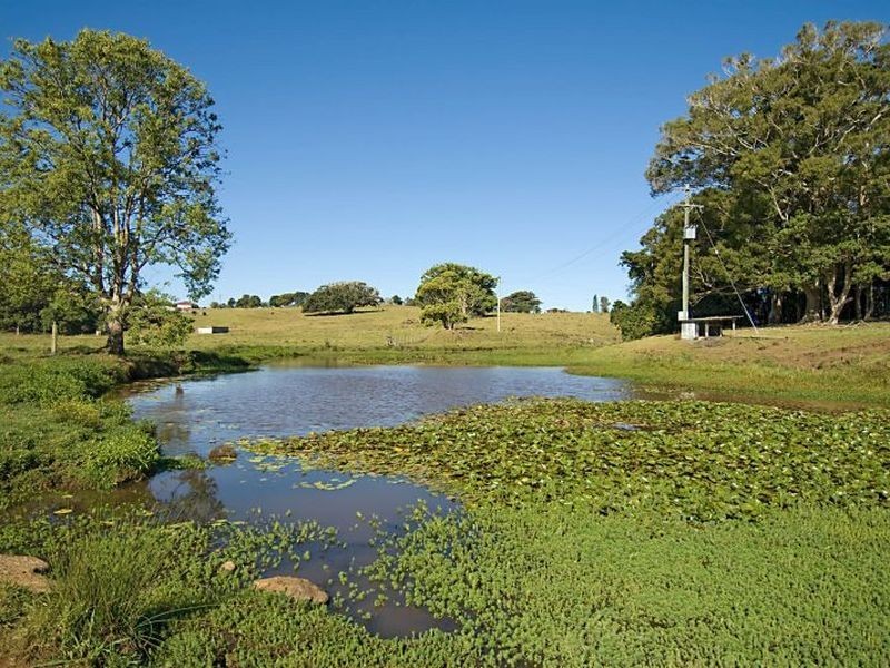 11 Ewingsdale Road, Ewingsdale NSW 2481