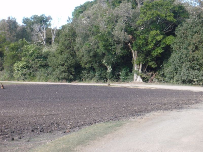 Lot 1/189 Tyagarah Road, Tyagarah NSW 2481