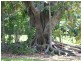 Lot 4 Currawong Way – Figtree Fields, Ewingsdale NSW 2481
