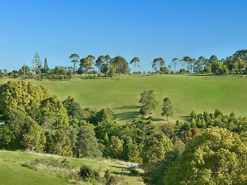 14/278 Coopers Shoot Road, Coopers Shoot NSW 2479