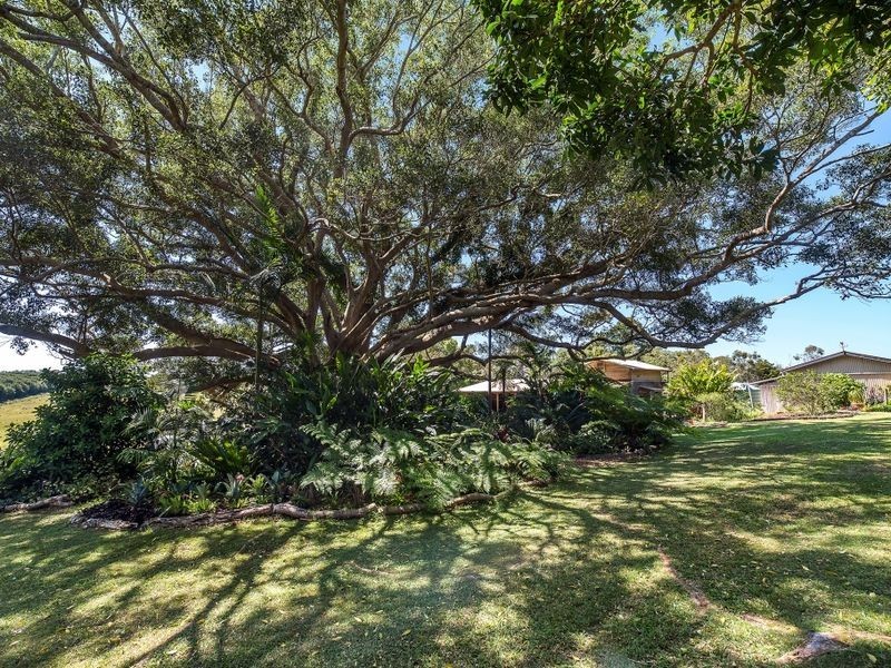 24 Eureka Road, Clunes NSW 2480