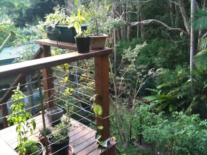 16 Bottlebrush Crescent, Byron Bay NSW 2481