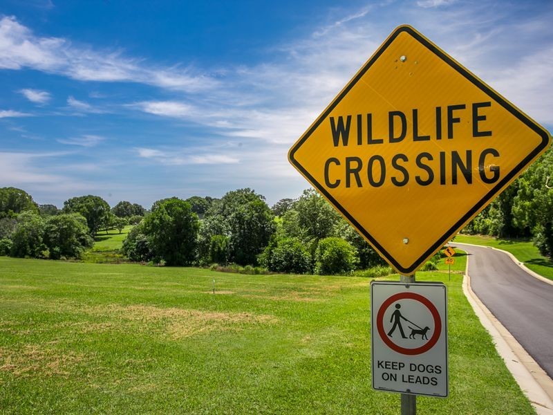 Lot 28 Koala Close – Figtree Fields, Ewingsdale NSW 2481