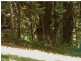460 Marom Creek Road, Marom Creek NSW 2480