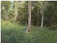460 Marom Creek Road, Marom Creek NSW 2480