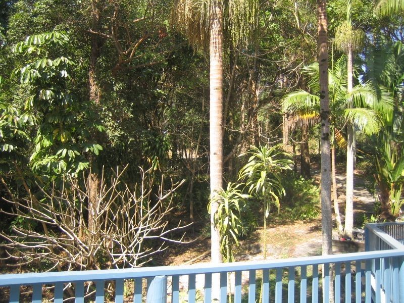 264 Skinners Shoot Road, Byron Bay NSW 2481