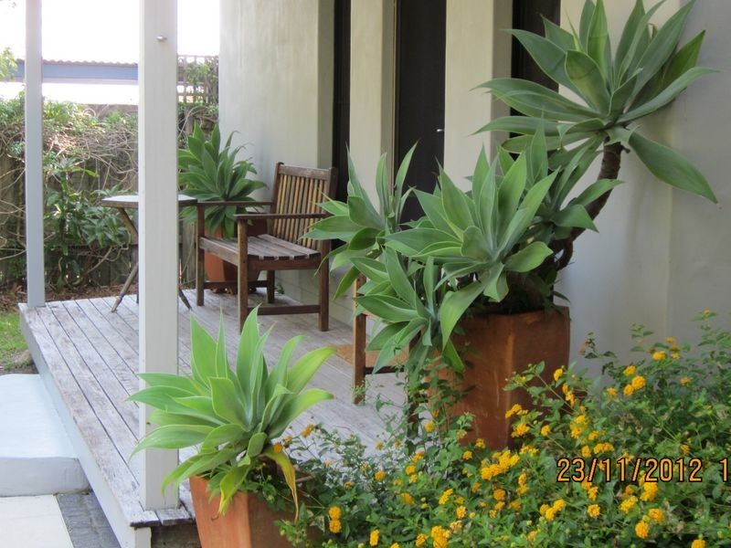1/21 Middleton street, Byron Bay NSW 2481