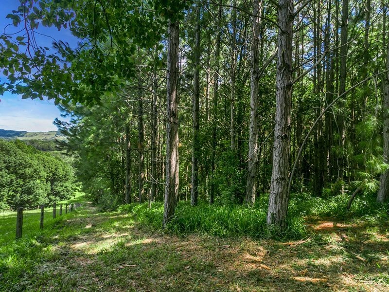 265 Tyagarah Road, Myocum NSW 2481