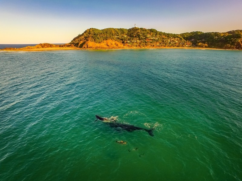 4/12 Browning Street, Byron Bay NSW 2481