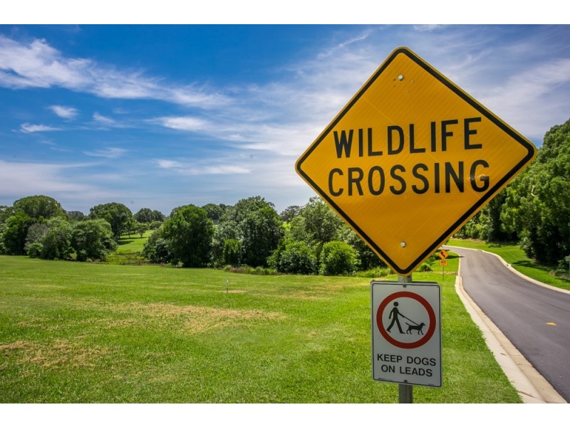 Lot 26 Koala Close – Fig Tree Fields, Ewingsdale NSW 2481