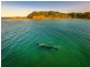 10 Palm Valley Drive, Byron Bay NSW 2481