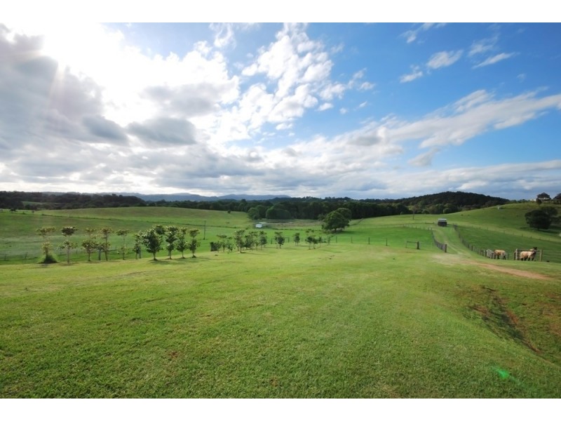 11 Bayfigs Place, Myocum NSW 2481