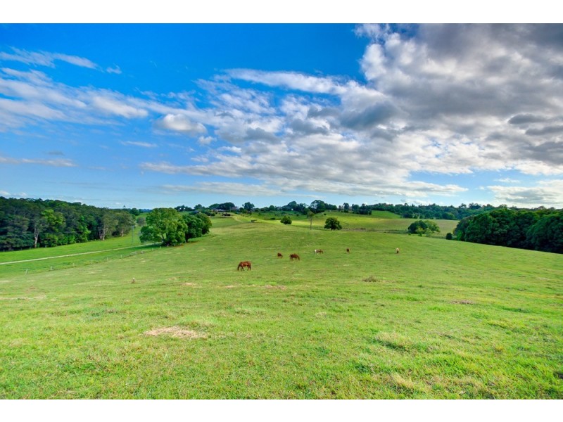 11 Bayfigs Place, Myocum NSW 2481