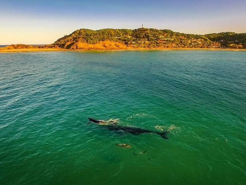 5/12 Browning Street, Byron Bay NSW 2481