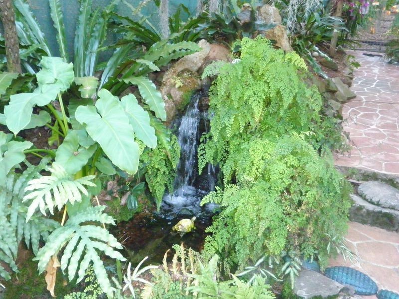 6 Adrian Court, Carlingford NSW 2118