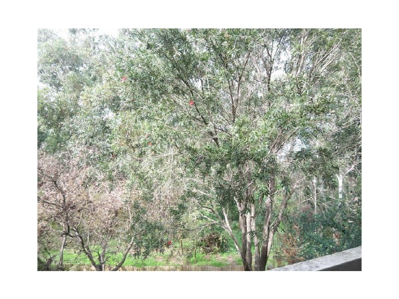 3/324 Marsden Road, Carlingford NSW 2118