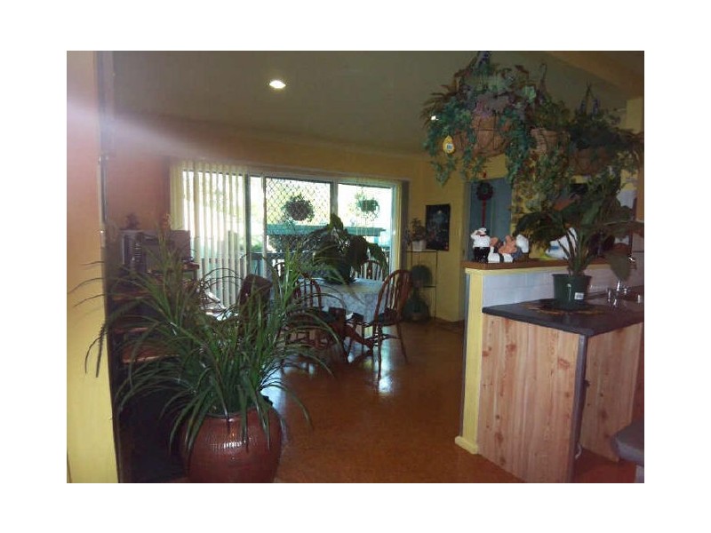 48 Moffatts Drive, Dundas NSW 2117