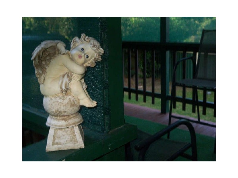 48 Moffatts Drive, Dundas NSW 2117