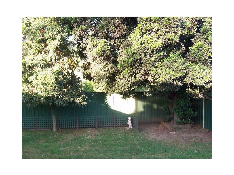 48 Moffatts Drive, Dundas NSW 2117