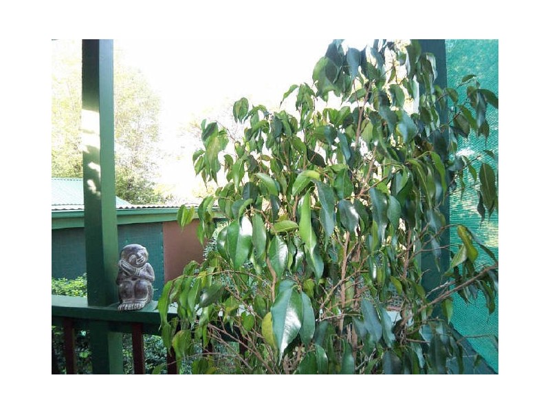 48 Moffatts Drive, Dundas NSW 2117