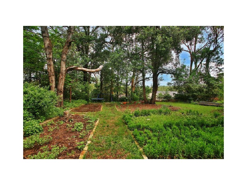 18 Meckiff Avenue, North Rocks NSW 2151