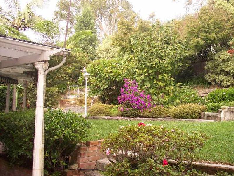 20 Griffith Avenue, Roseville NSW 2069