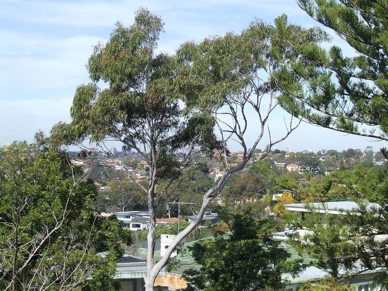 178 Edinburgh Road, Castlecrag NSW 2068