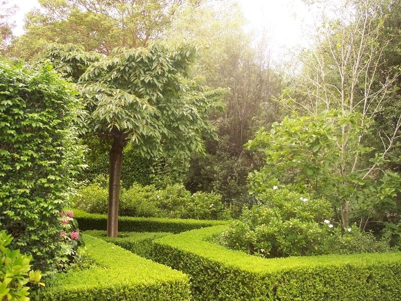 19 Cameron Avenue, Artarmon NSW 2064