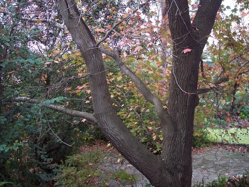 33 The Rampart, Castlecrag NSW 2068