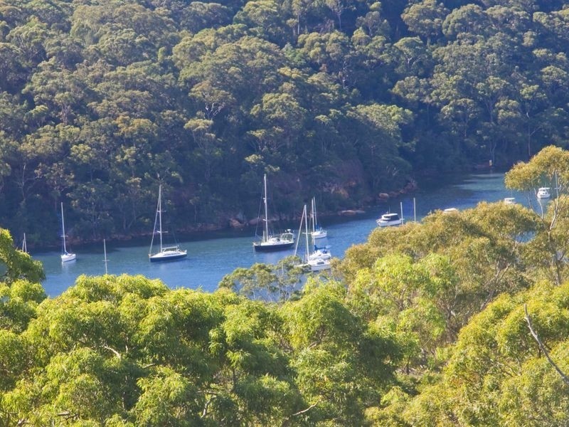 53 Griffith Avenue, Roseville Chase NSW 2069