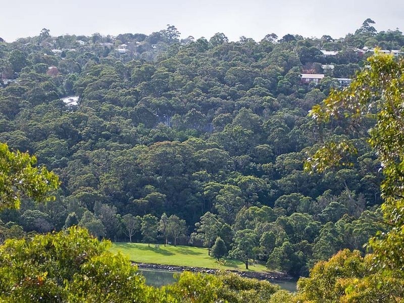 71 Griffith Avenue, Roseville Chase NSW 2069