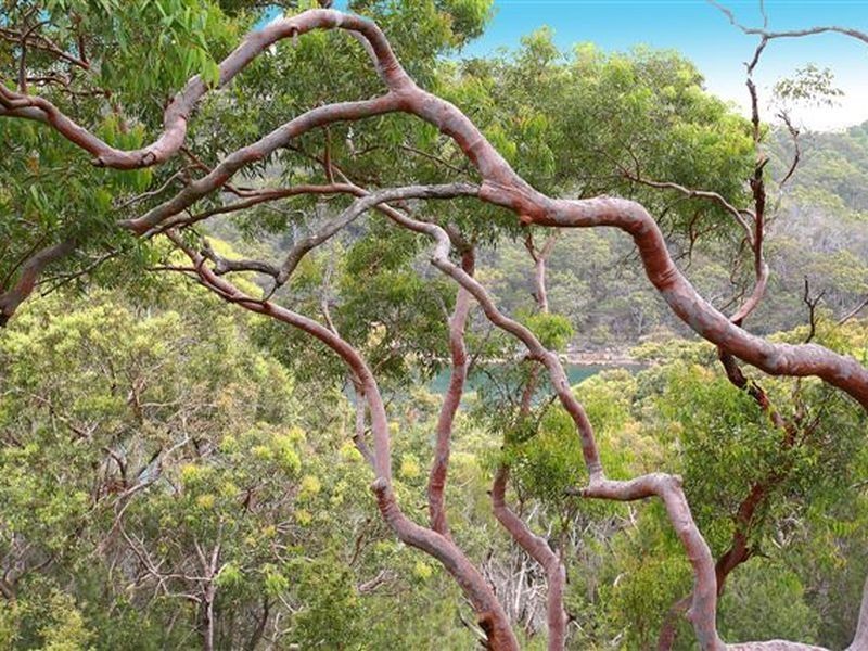 10 Cherry Place, Castle Cove NSW 2069