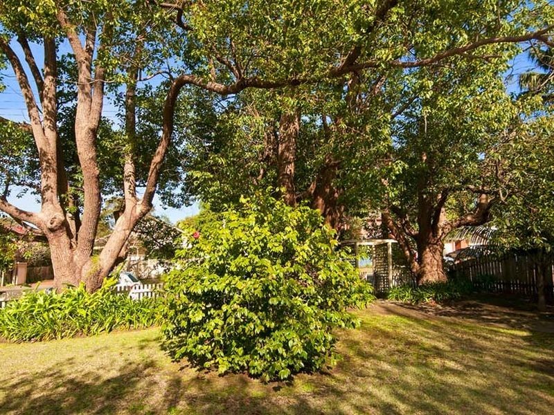 7 Edinburgh Road, Willoughby NSW 2068